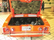 njace_ledgewood_show_2004_28.JPG