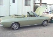 njace_wall_2001_greenvert_late.JPG